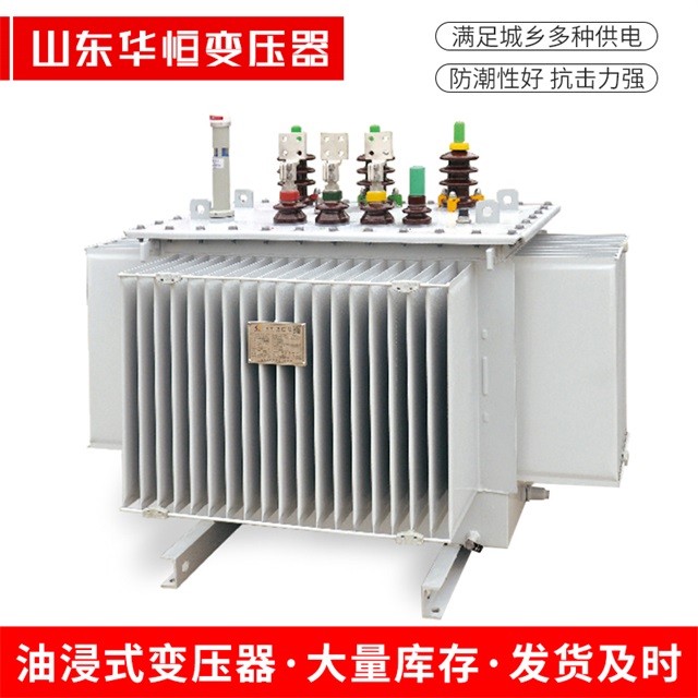 S13-10000/35荥经荥经荥经电力变压器